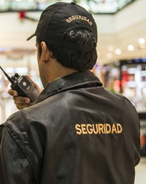 Seguridad